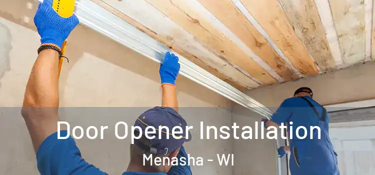  Door Opener Installation Menasha - WI