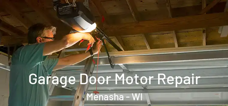  Garage Door Motor Repair Menasha - WI