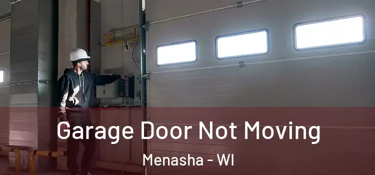  Garage Door Not Moving Menasha - WI