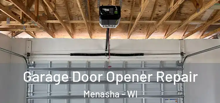  Garage Door Opener Repair Menasha - WI