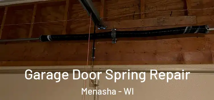  Garage Door Spring Repair Menasha - WI