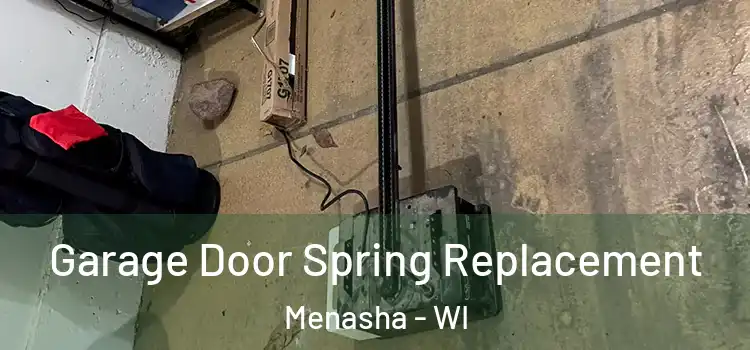  Garage Door Spring Replacement Menasha - WI