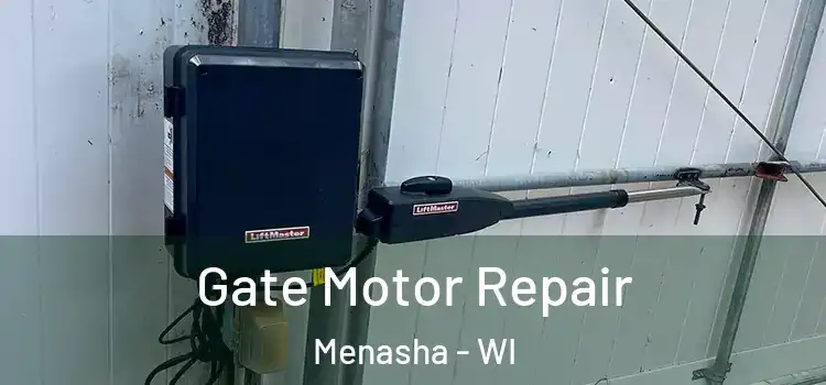  Gate Motor Repair Menasha - WI