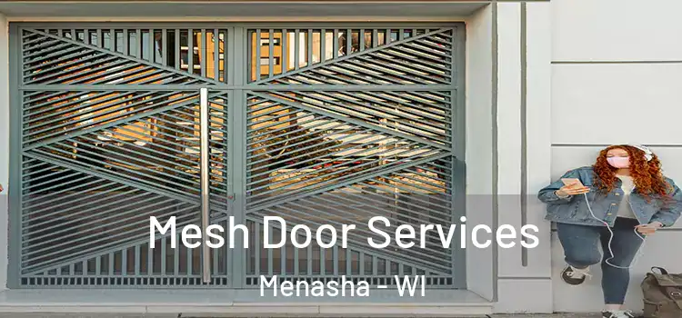 Mesh Door Services Menasha - WI