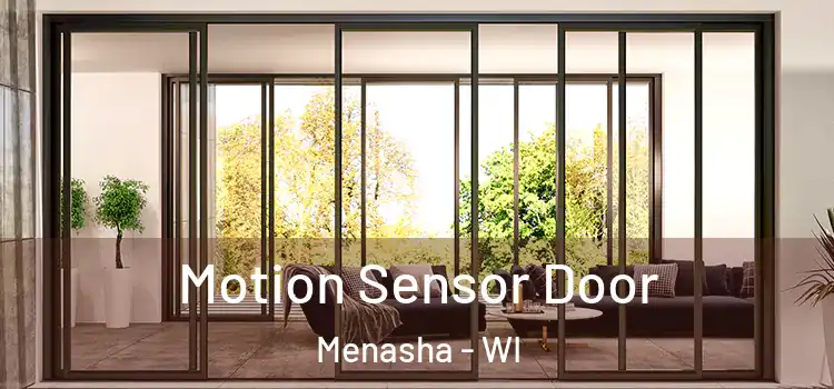  Motion Sensor Door Menasha - WI