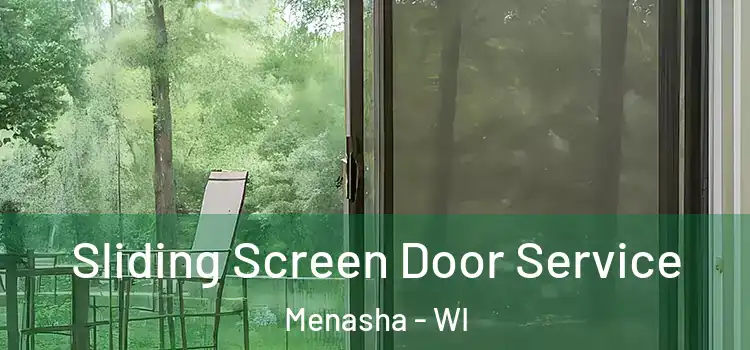  Sliding Screen Door Service Menasha - WI